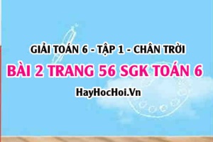 Giải bài 2 trang 56 Toán 6 Tập 1 SGK Chân trời sáng tạo